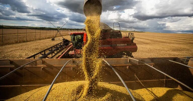 Tecnologia turbina produção agrícola e MT bate recorde histórico